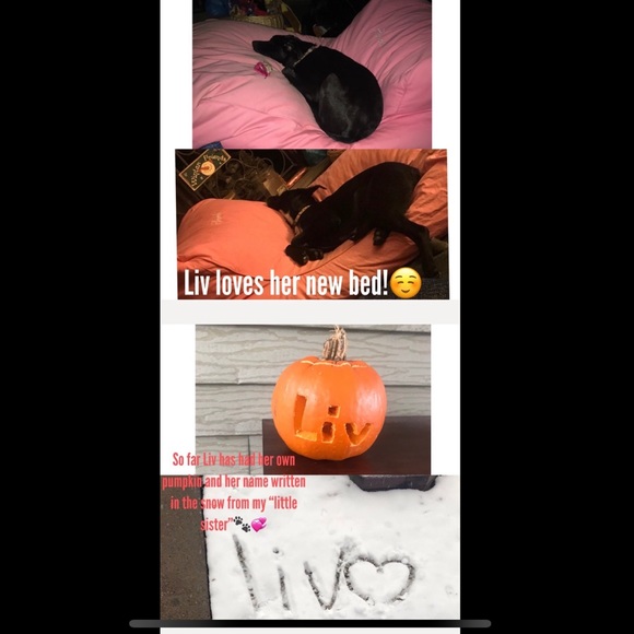 Helping my baby🐾💞 - Picture 8 of 8